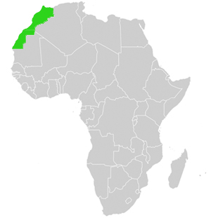 Afrika Lage Marokko